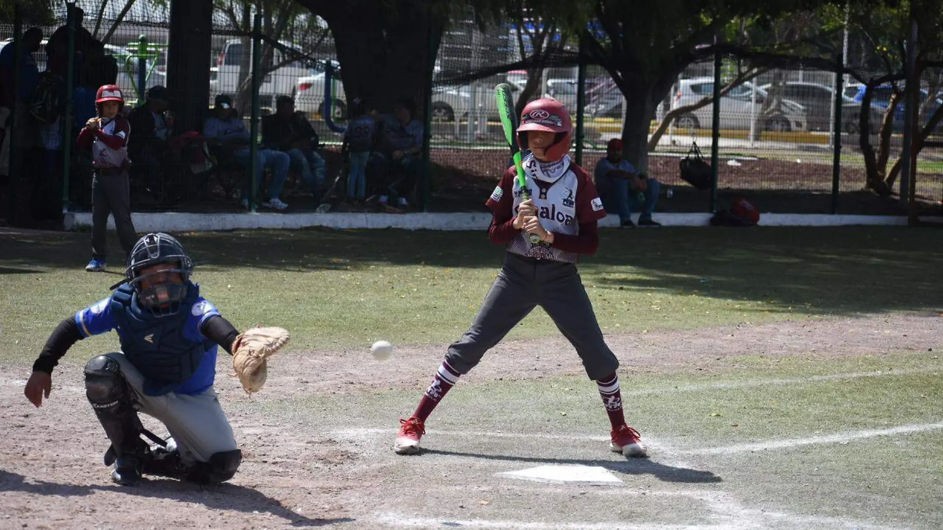 Nacional Federado de Béisbol Pre-Infantil